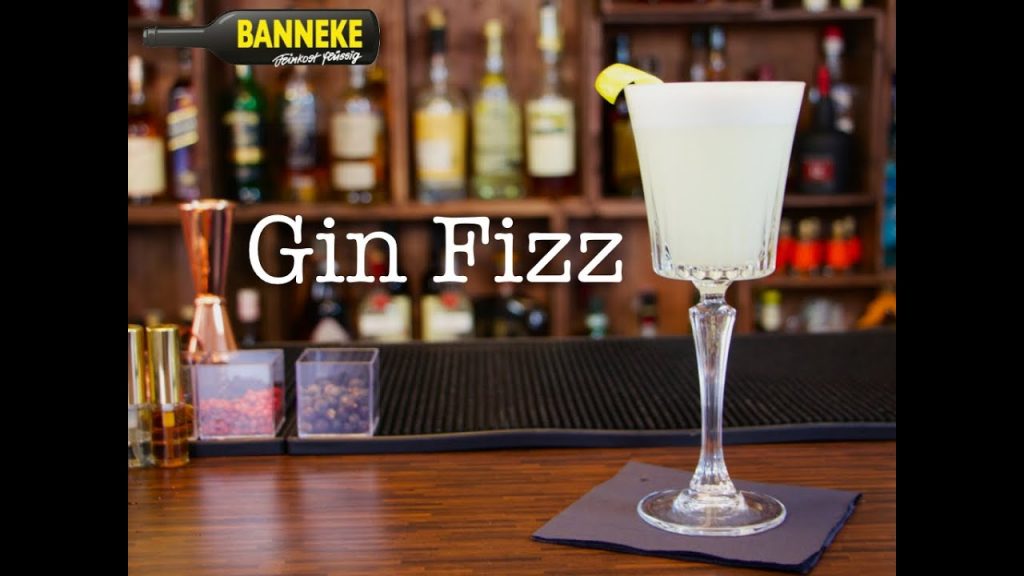 Gin Fizz – Gin Cocktail selber mixen – Schüttelschule by Banneke