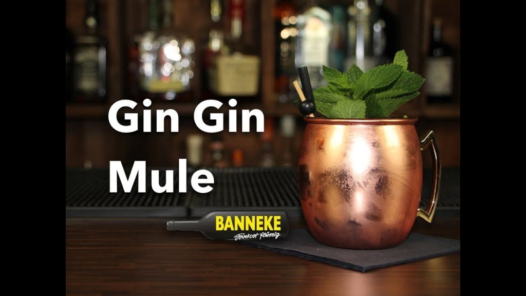 Gin Gin Mule – Gin Cocktail selber mixen – Schüttelschule by Banneke