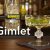 Gimlet – Gin Cocktail selber mixen – Schüttelschule by Banneke