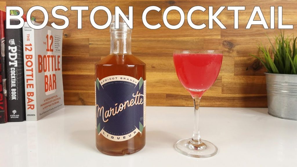 BOSTON COCKTAIL RECIPE – Must Try Apricot Brandy Liqueur Drink!