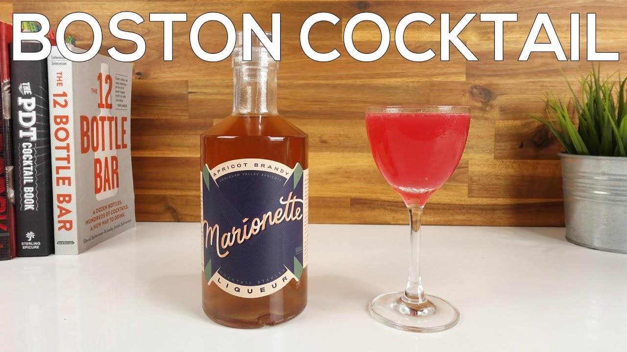 BOSTON COCKTAIL RECIPE - Must Try Apricot Brandy Liqueur Drink!