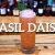 Basil Daisy Cocktail Recipe – as featured in Imbibe Magazine!