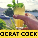 GIVEAWAY!! + the Democrat Cocktail Recipe - Bourbon, Peach & Honey!