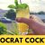 GIVEAWAY!! + the Democrat Cocktail Recipe – Bourbon, Peach & Honey!