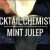 Basic Cocktails – How To Make A Mint Julep