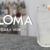 Paloma Cocktail – Mexikos liebster Tequila Longdrink