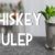 Mint Julep / Whiskey Julep – Ein Cocktail Klassiker