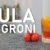 Kula Negroni Cocktail mit Erdbeer-Campari – Julie Reiners sommerlicher Erdbeer-Negroni Twist