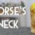Horses Neck – Ein klassischer Highball