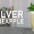 Silver Pineapple Cocktail – Gewinnerdrink mit Chardonnay-Wein